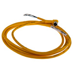 Turck Female 3 way M8 to Unterminated Sensor Actuator Cable, 2m