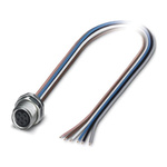 Phoenix Contact Female 6 way M8 to Sensor Actuator Cable, 500mm