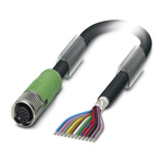 Phoenix Contact Female 12 way M12 to Sensor Actuator Cable, 1m