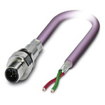 Phoenix Contact Male 2 way M12 to 2 way Unterminated Bus Cable, 500mm