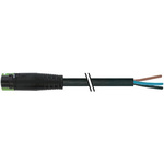 Murrelektronik Limited Straight Male 6 way MQ15-X-Power to Unterminated Sensor Actuator Cable, 2m