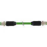 Murrelektronik Limited Straight Male 8 way M12 to Straight Male 8 way M12 Sensor Actuator Cable, 2m