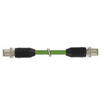 Murrelektronik Limited Straight Male 8 way M12 to Straight Male 8 way M12 Sensor Actuator Cable, 10m