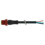 Murrelektronik Limited Straight Male 4 way M12 to Unterminated Power Cable, 5m