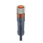 Lumberg Automation Straight Female 3 way M8 to Unterminated Sensor Actuator Cable, 5m