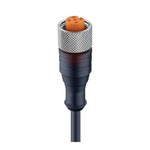 Lumberg Automation Straight 5 way M12 to Unterminated Sensor Actuator Cable, 10m