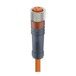 Lumberg Automation Female 3 way M8 to Unterminated Sensor Actuator Cable, 300mm
