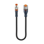 Lumberg Automation Straight Male 3 way M8 to Right Angle Female 4 way M12 Sensor Actuator Cable, 600mm