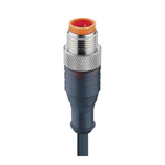 Lumberg Automation Straight Male 4 way M12 to Unterminated Sensor Actuator Cable, 2m