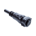 Amphenol Straight Female 2 way X-Lok B Size to Unterminated Sensor Actuator Cable, 1m