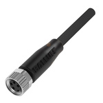 BALLUFF Straight Female M8 to Unterminated Sensor Actuator Cable, 2m