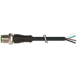Murrelektronik Limited Straight Male 4 way M12 to Connector & Cable, 5m