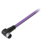 Wago Right Angle Female 5 way M12 to Unterminated Actuator/Sensor Cable, 10m
