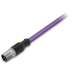 Wago Straight Male 5 way M12 to Unterminated Actuator/Sensor Cable, 2m