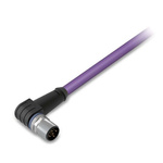 Wago Right Angle Male 5 way M12 to Unterminated Actuator/Sensor Cable, 2m