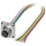 Phoenix Contact Female 17 way M12 to Sensor Actuator Cable, 500mm