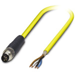 Phoenix Contact Straight Male 4 way M8 to Unterminated Sensor Actuator Cable, 5m