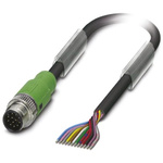 Phoenix Contact Straight Male 12 way M12 to Unterminated Sensor Actuator Cable, 10m