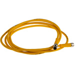 Turck Female 3 way M8 to Male M8 Sensor Actuator Cable, 2m