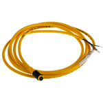 Turck Female 3 way M8 to Unterminated Sensor Actuator Cable, 2m