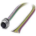 Phoenix Contact Female 17 way M12 to Sensor Actuator Cable, 500mm
