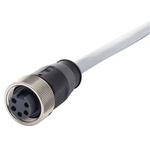 Harting Straight Female 5 way 7/8 in Circular to Unterminated Sensor Actuator Cable, 1.5m