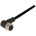 HARTING Right Angle Female 12 way M12 to Unterminated Sensor Actuator Cable, 5m