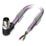Phoenix Contact Straight Male 2 way M12 to Unterminated Bus Cable, 5m