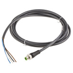 Murrelektronik Limited Straight Male 4 way M12 to Unterminated Power Cable, 3m