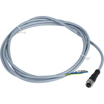 Telemecanique Sensors Straight Female 5 way M12 to Unterminated Sensor Actuator Cable, 2m