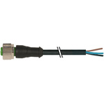 Murrelektronik Limited Straight Male 5 way M12 to Unterminated Sensor Actuator Cable, 1.5m