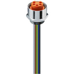Lumberg Automation Cable Assembly