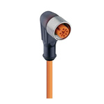 Lumberg Automation Right Angle Female 4 way M12 to Unterminated Sensor Actuator Cable, 5m