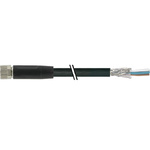 Baumer Straight Female M8 to Unterminated Sensor Actuator Cable, 5m