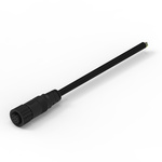 Wurth Elektronik Cable Assembly