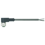Harting Female 4 way M12 to Unterminated Sensor Actuator Cable, 10m