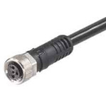 Molex Female 4 way M8 to Unterminated Sensor Actuator Cable, 5m