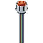 Lumberg Automation Cable Assembly