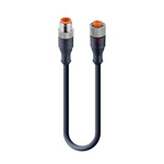 Lumberg Automation Straight 4 way M12 to Unterminated Sensor Actuator Cable, 6m