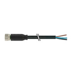 Murrelektronik Limited Straight Female 3 way M8 to Straight Female M8 Sensor Actuator Cable, 5m
