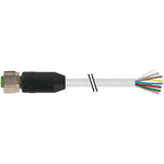 Murrelektronik Limited Straight Female 8 way M12 to Unterminated Sensor Actuator Cable, 10m
