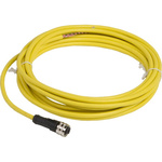 Telemecanique Sensors Straight Female 3 way 1/2 in Circular to Unterminated Sensor Actuator Cable, 5m