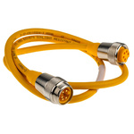 Turck Straight Male 5 way 7/8 in Circular to Straight Female 5 way 7/8 in Circular Sensor Actuator Cable, 1m