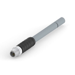TE Connectivity Straight Male 4 way M12 to Unterminated Sensor Actuator Cable, 5m