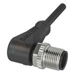 BALLUFF Right Angle Male M12 to Unterminated Sensor Actuator Cable, 2m