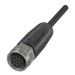 BALLUFF Straight Female M12 to Unterminated Sensor Actuator Cable, 5m