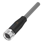 BALLUFF Straight Female M8 to Unterminated Sensor Actuator Cable, 3m