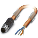 Phoenix Contact Straight Male M12 to Unterminated Bus Cable, 15m