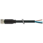 Murrelektronik Limited Straight Female 3 way M8 to Connector & Cable, 10m
