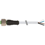 Murrelektronik Limited Straight Female 4 way M12 to Connector & Cable, 10m